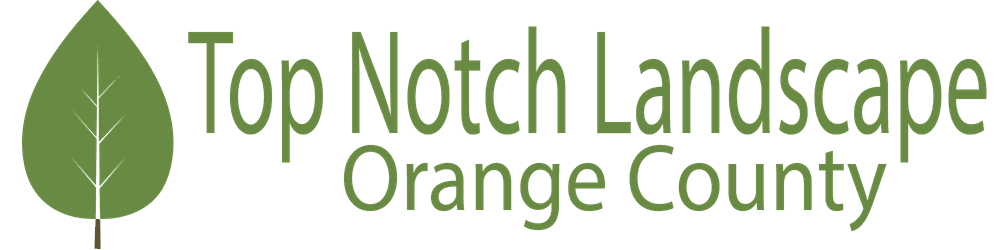 Top Notch Landscape OC: Our Journey